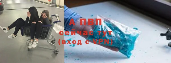 меф Арсеньев