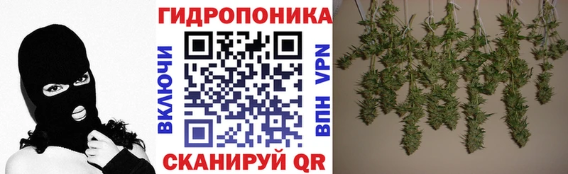 Канабис VHQ  Макаров 